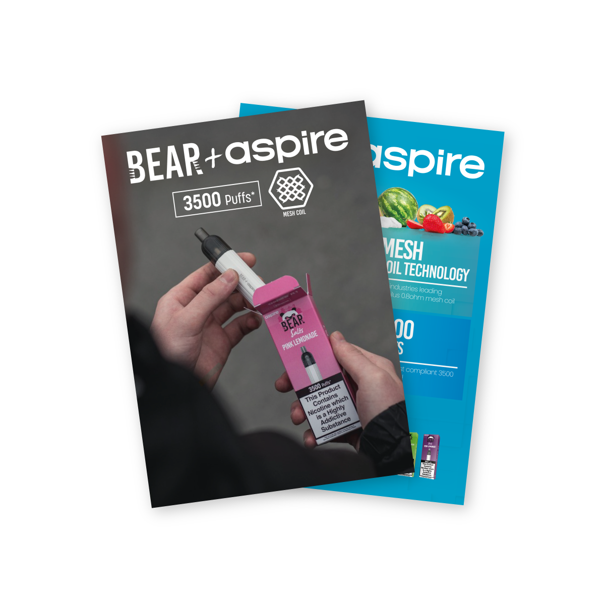 A5 leaflet BEAR+aspire R1