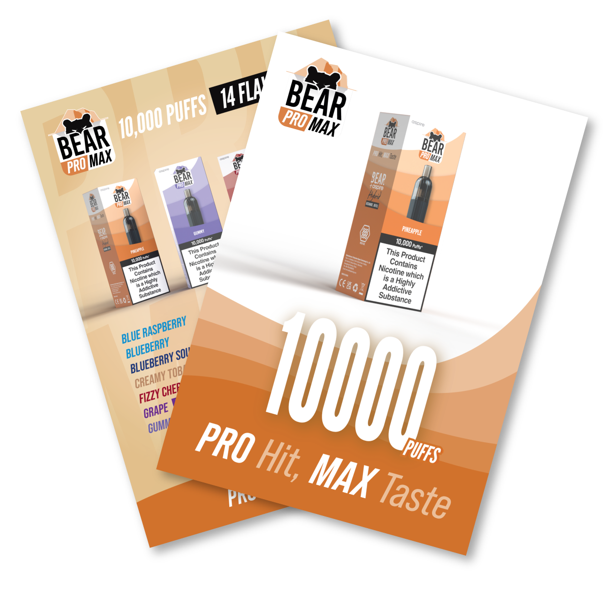 BEAR Pro MAX POS: 10k Puff Vape A5 Leaflet Front