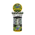 multitrance cannabis lollipops 100pcs cdu blueberry haze
