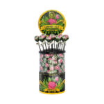 multitrance cannabis lollipops 100pcs cdu bubblegum