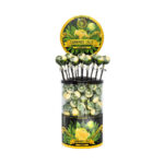 multitrance cannabis lollipops 100pcs cdu lemon haze